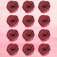 Burgundy | Edible Sugar Flowers