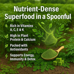 Moringa Fruit Powder