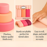 Multipack of Blush Pink, Peach, Neon Pink and Fuchsia Pink Sugarpaste 21