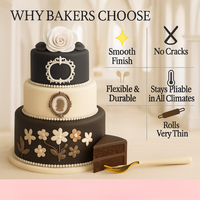 Multipack of Black, White, Skin and Brown Sugarpaste 04